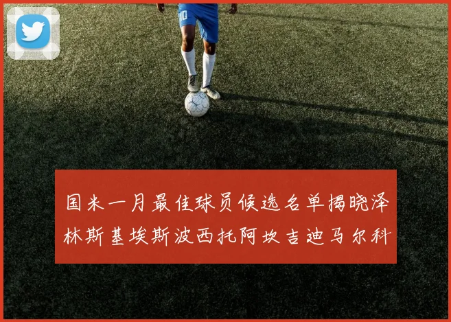国米一月最佳球员候选名单揭晓泽林斯基埃斯波西托阿坎吉迪马尔科争夺荣誉