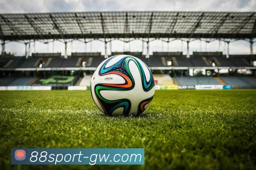 88体育平台生态图