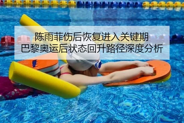 陈雨菲伤后恢复进入关键期 巴黎奥运后状态回升路径深度分析